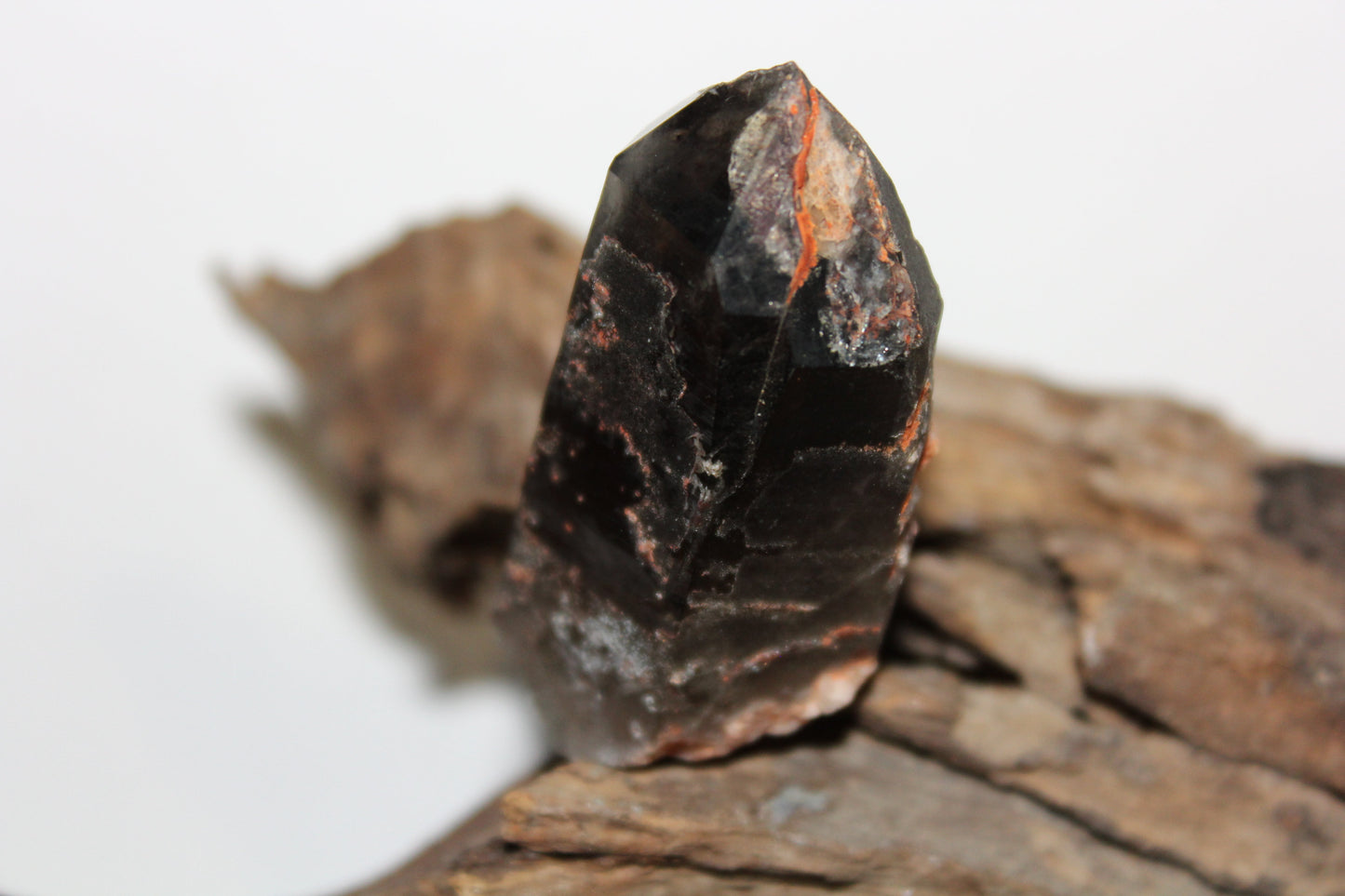 Raw - Smoky Quartz (Crystal Peak, Colorado) - sml