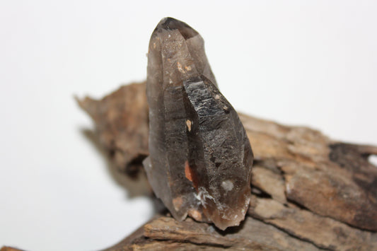Raw - Smoky Quartz (Crystal Peak, Colorado) - sml