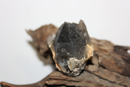 Raw - Smoky Quartz (Crystal Peak, Colorado) - sml