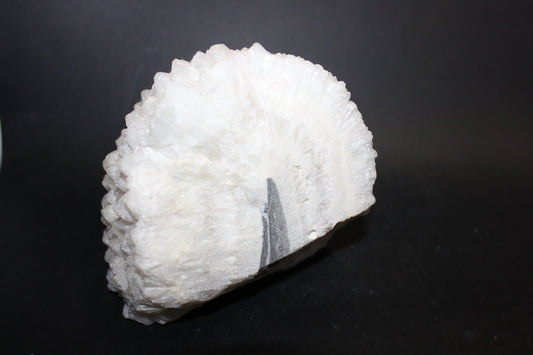 Raw - Snow Quartz (pineapple) - xlge