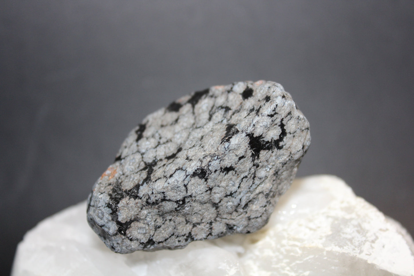 Raw - Snowflake Obsidian - sml