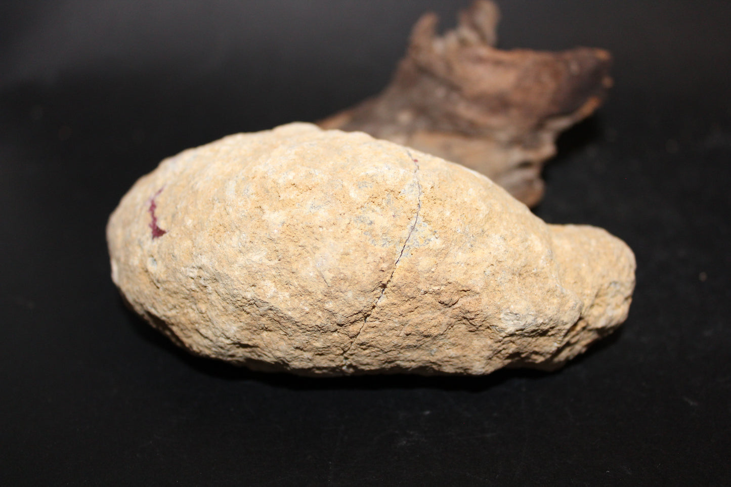 Geode - Clear Quartz (Purple/Green - dyed) - sml/med