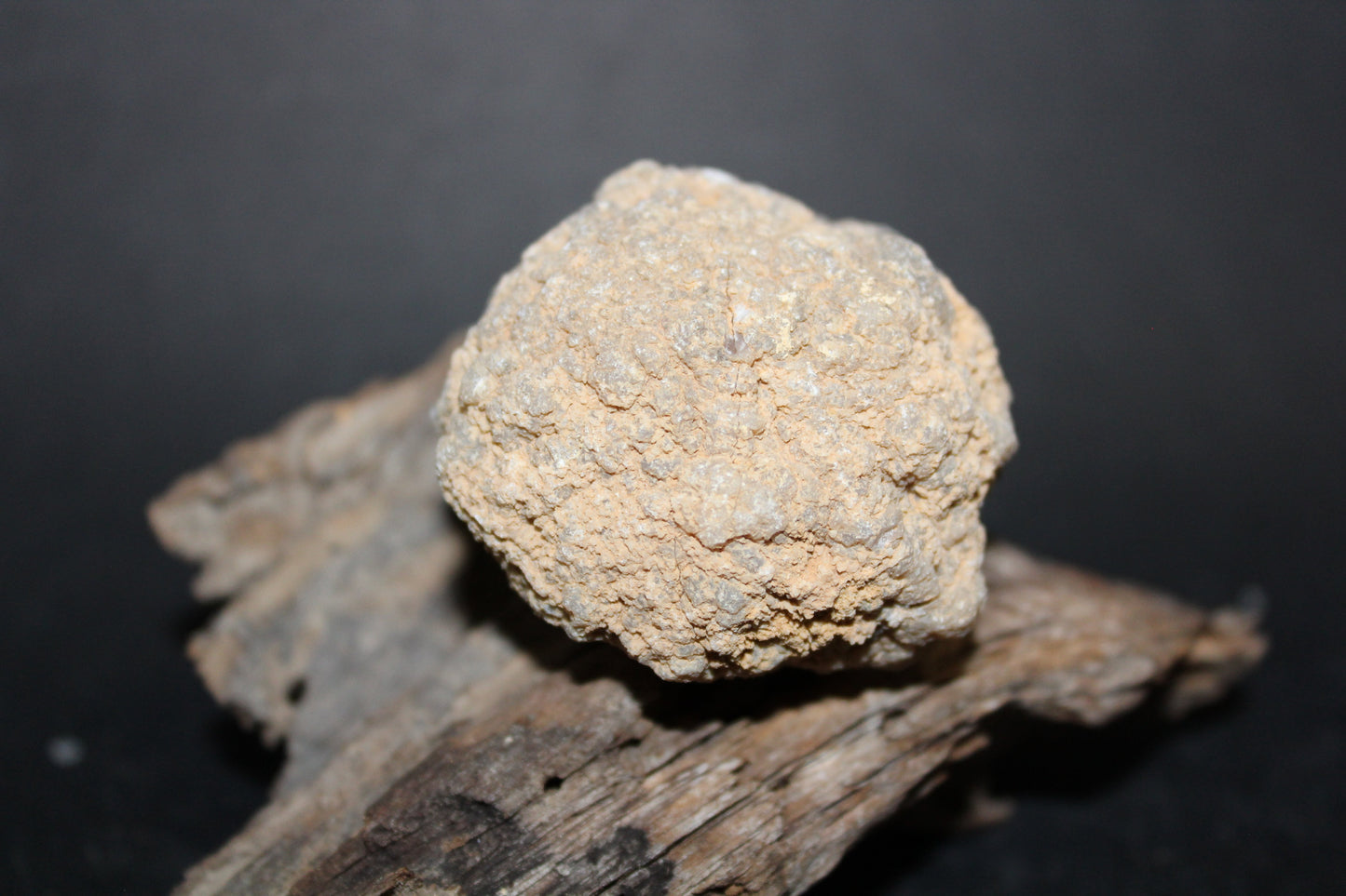 Geode - Clear Quartz - full geode - sml