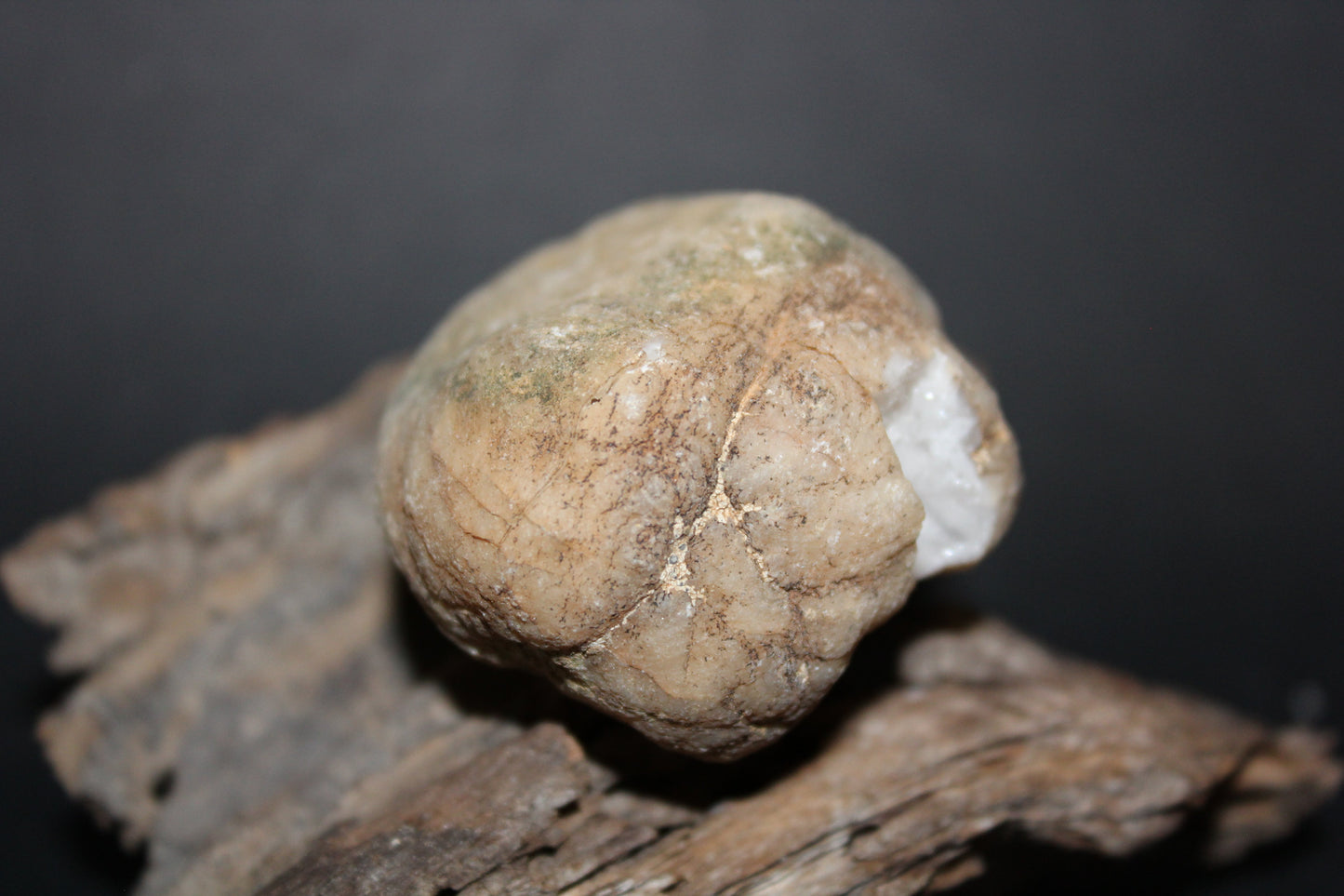 Geode - Clear Quartz - full geode - sml