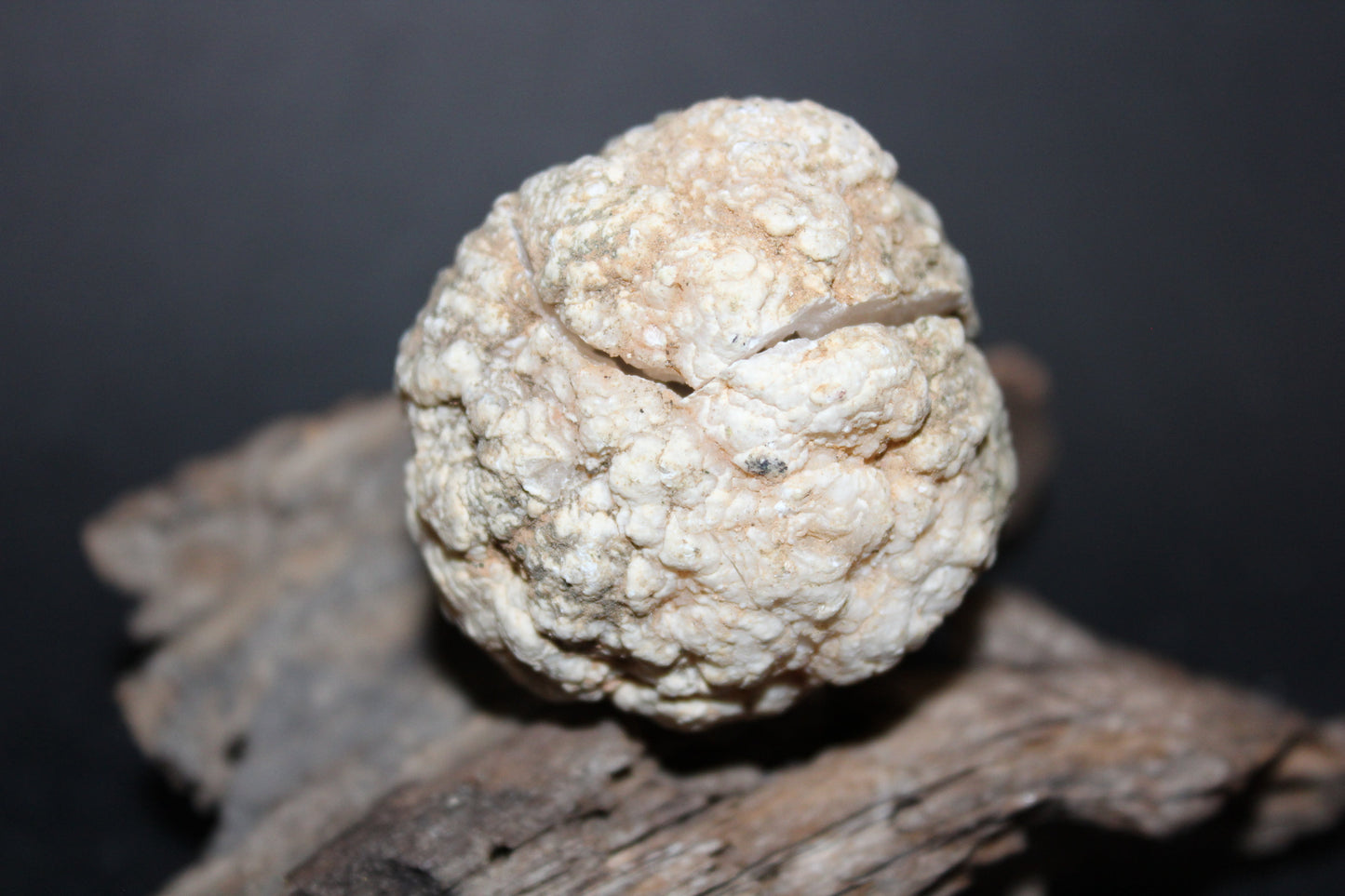 Geode - Clear Quartz - full geode - sml