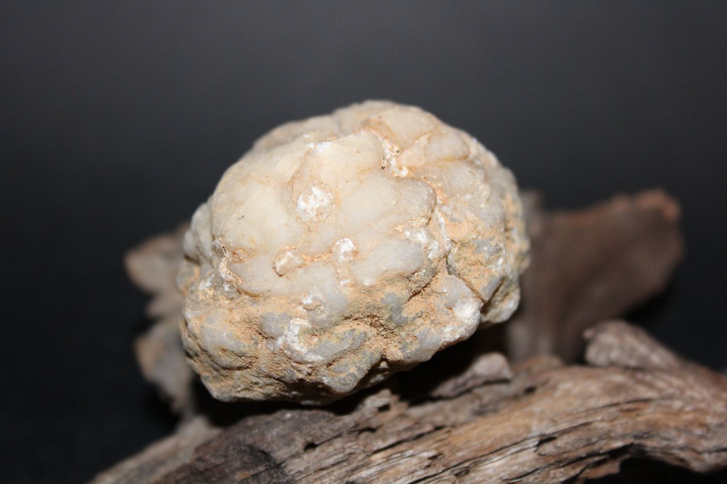 Geode - Clear Quartz - full geode - sml