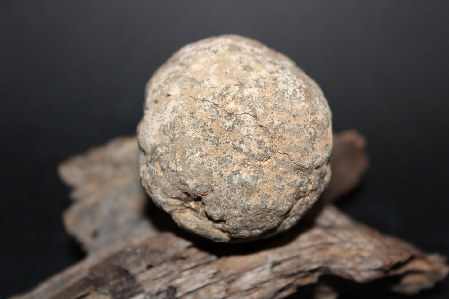 Geode - Clear Quartz - full geode - sml