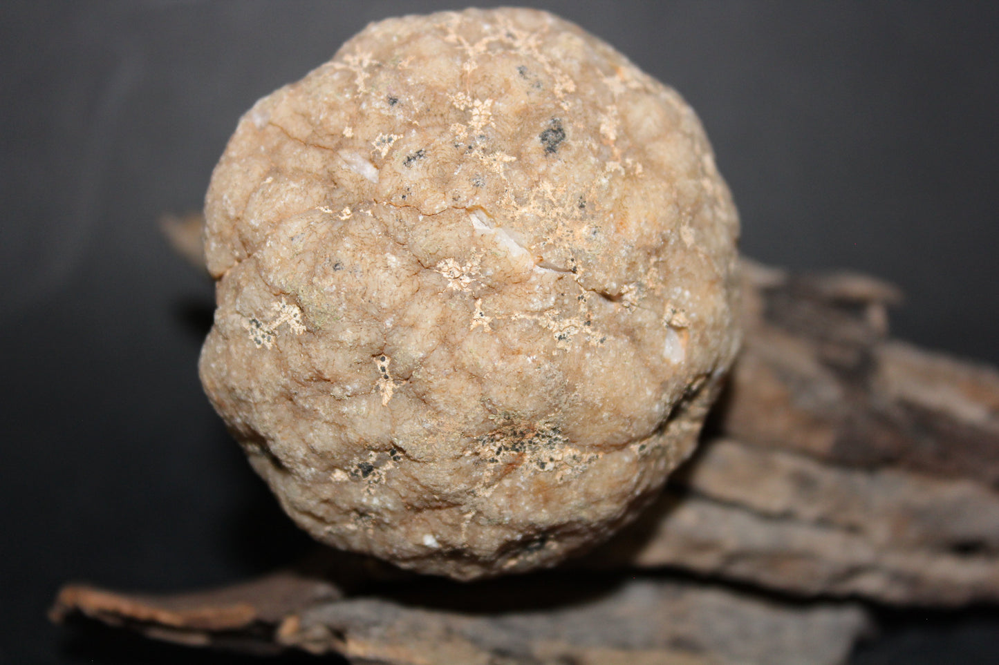 Geode - Clear Quartz - full geode - sml