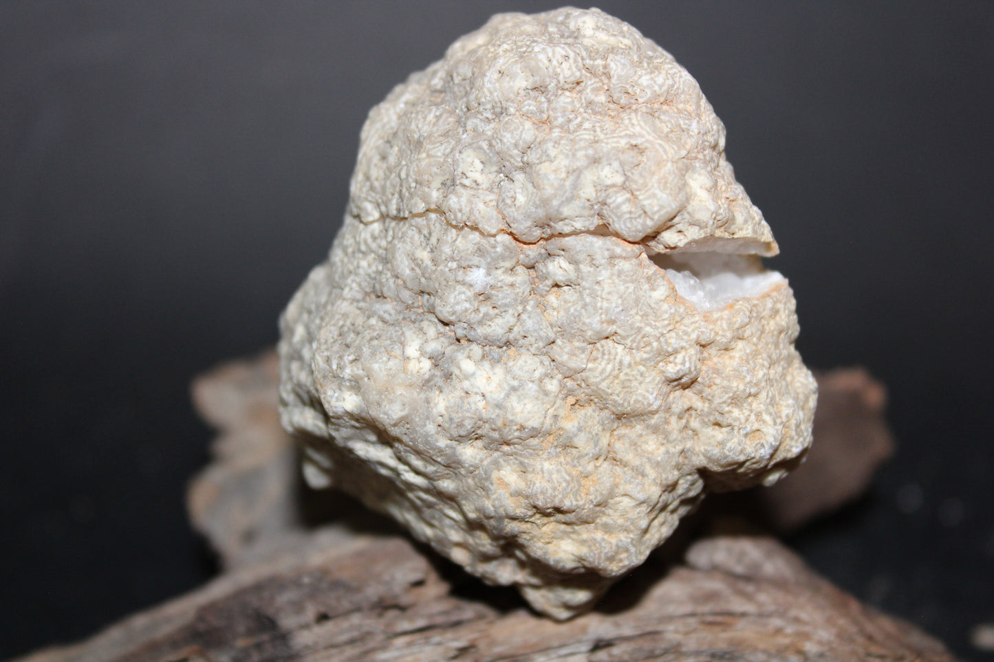 Geode - Clear Quartz - full geode - sml