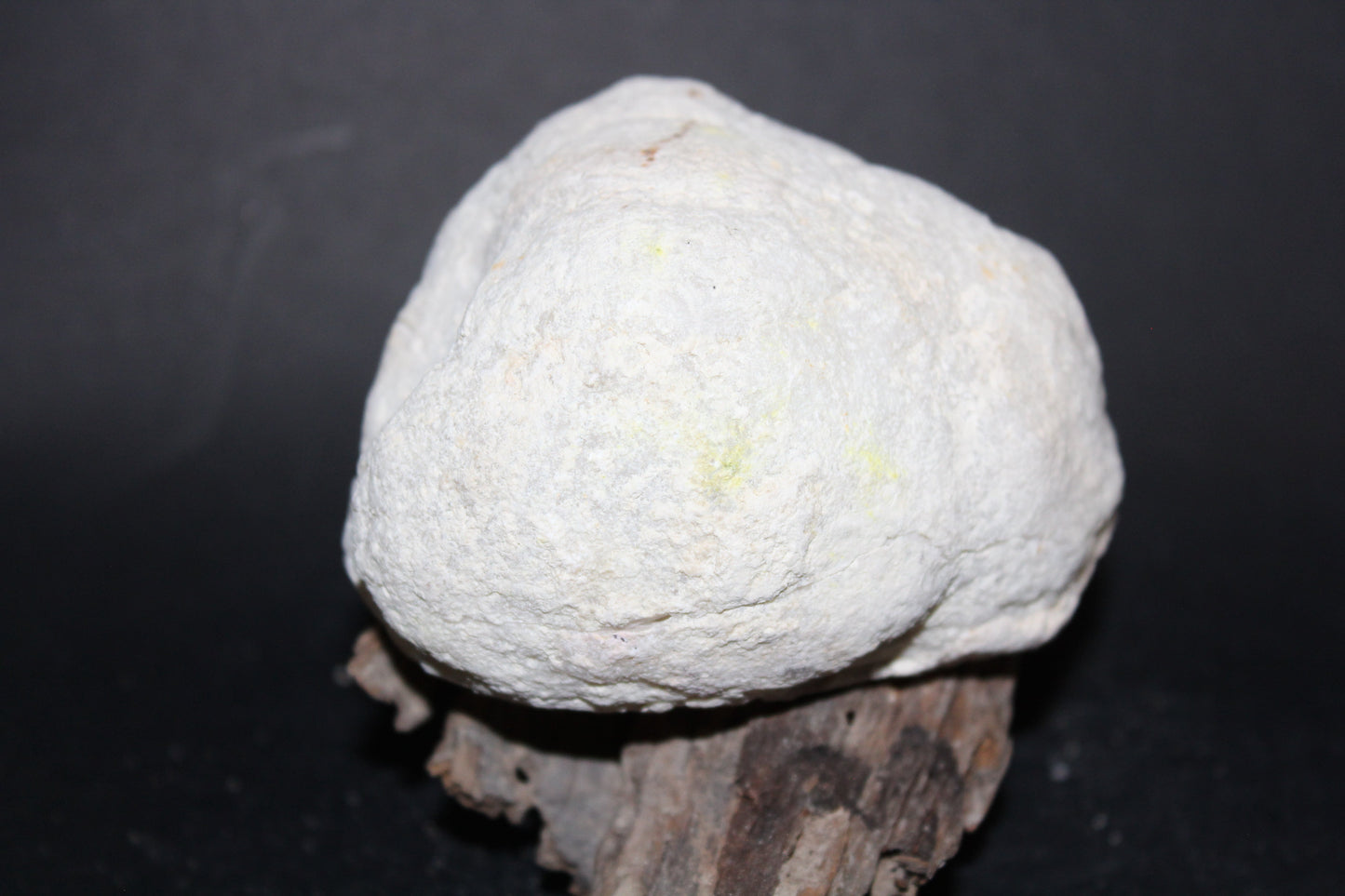 Geode - Clear Quartz - full geode - med