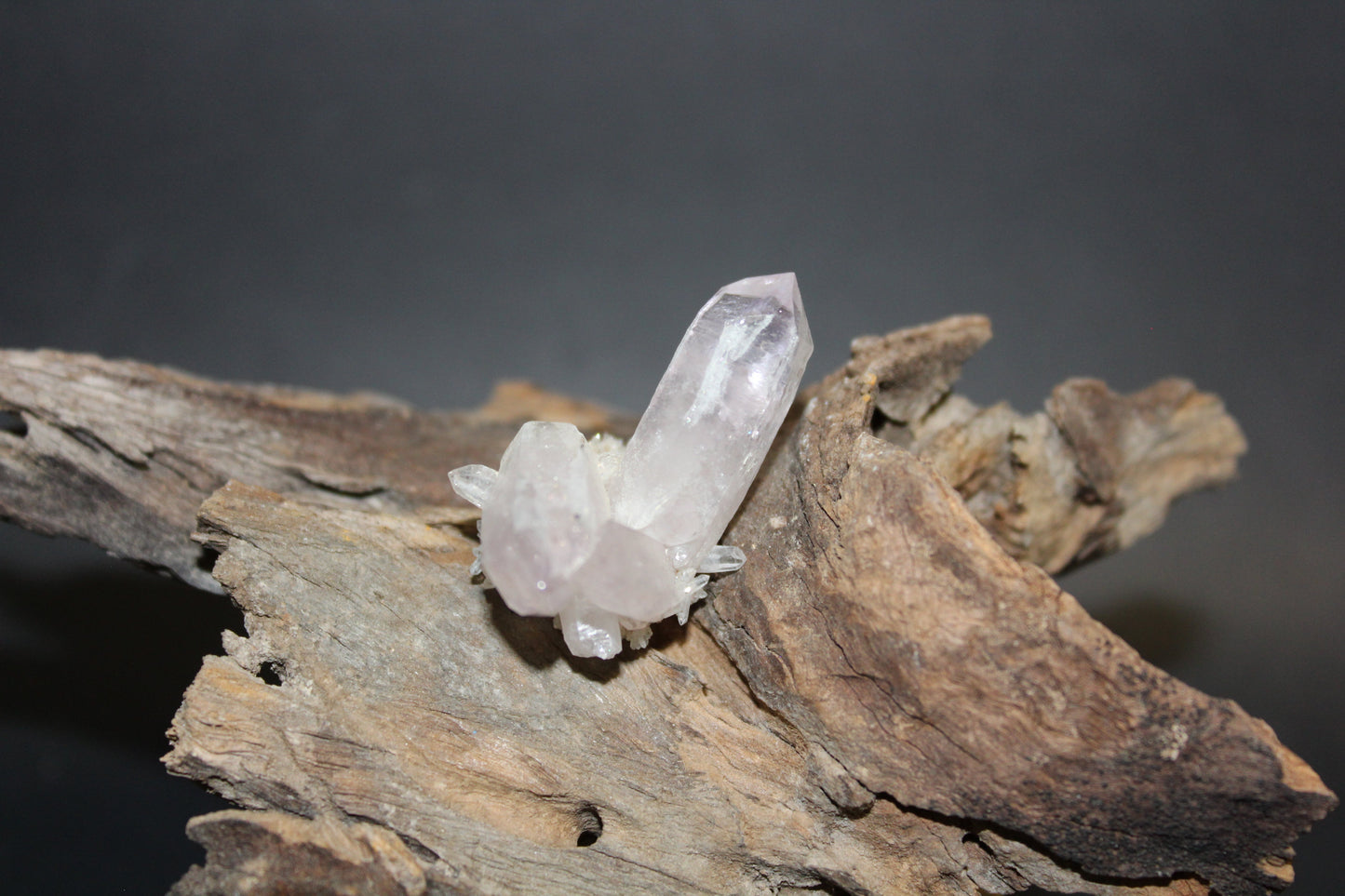 Point - Amethyst - Vera Cruz - sml