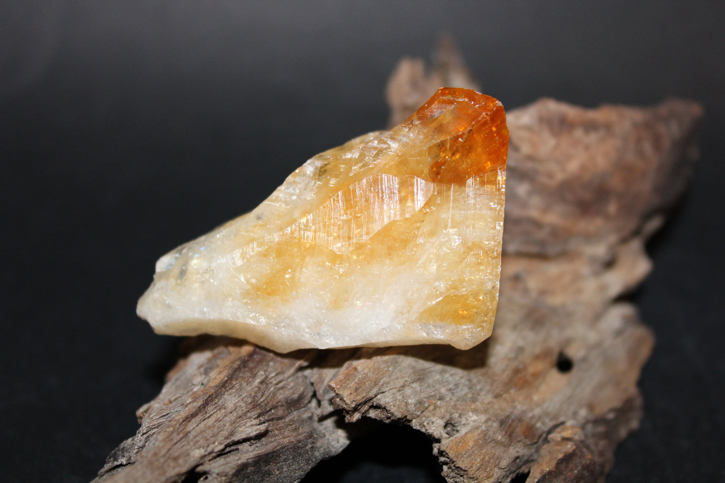 Point - Citrine (tooth) - lge