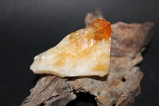 Point - Citrine (tooth) - lge