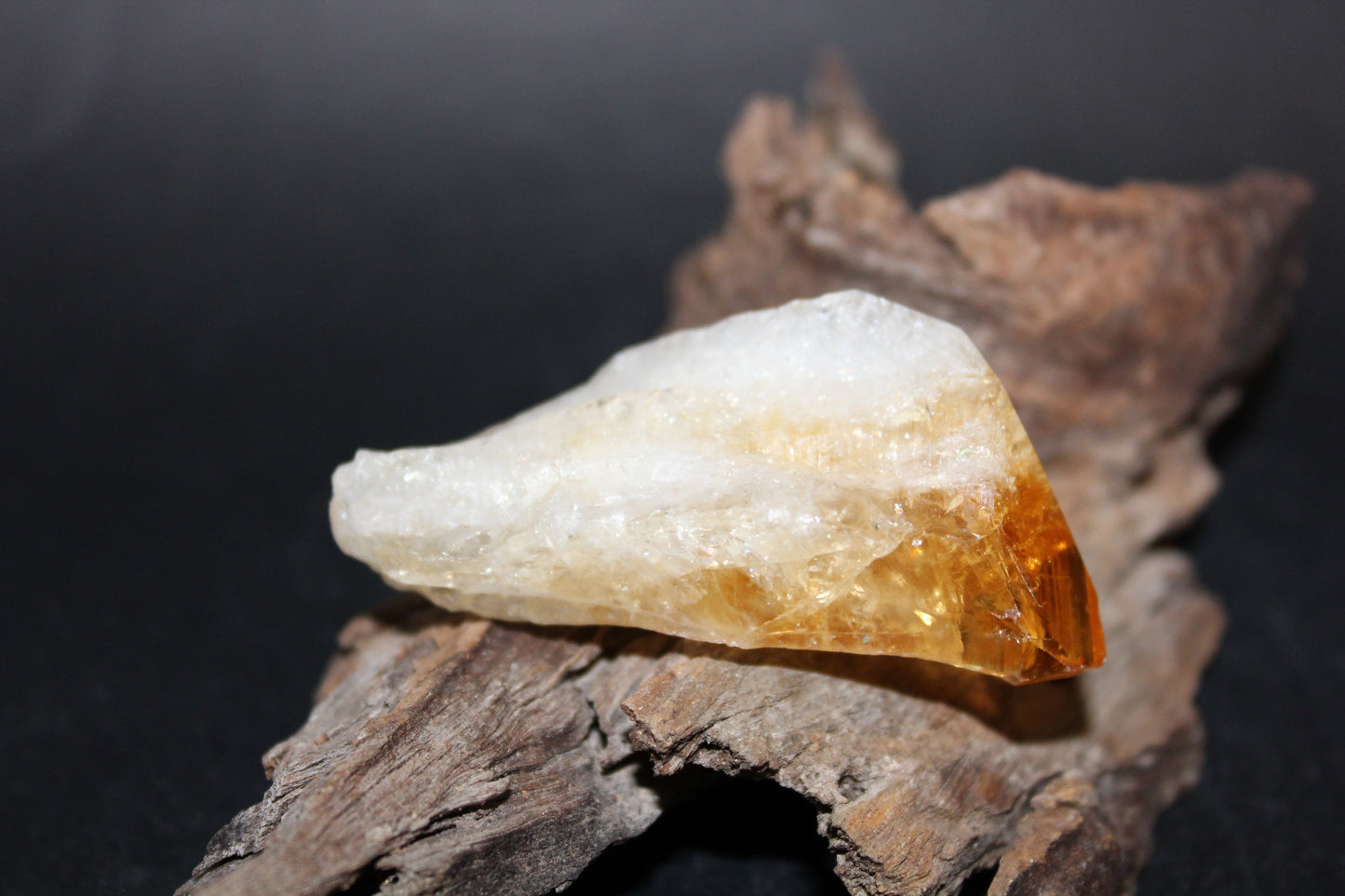 Point - Citrine (tooth) - lge