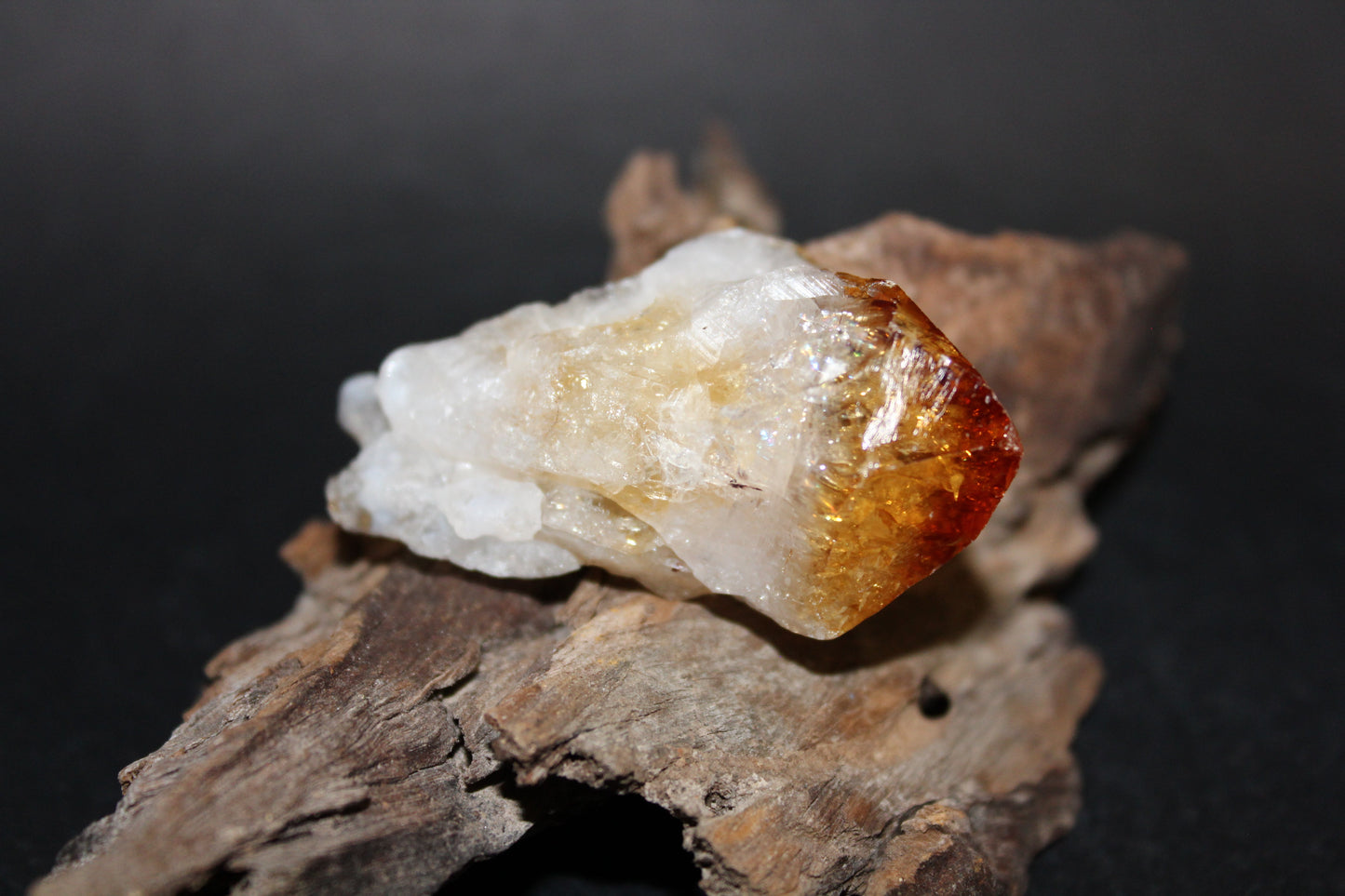 Point - Citrine (tooth) - lge