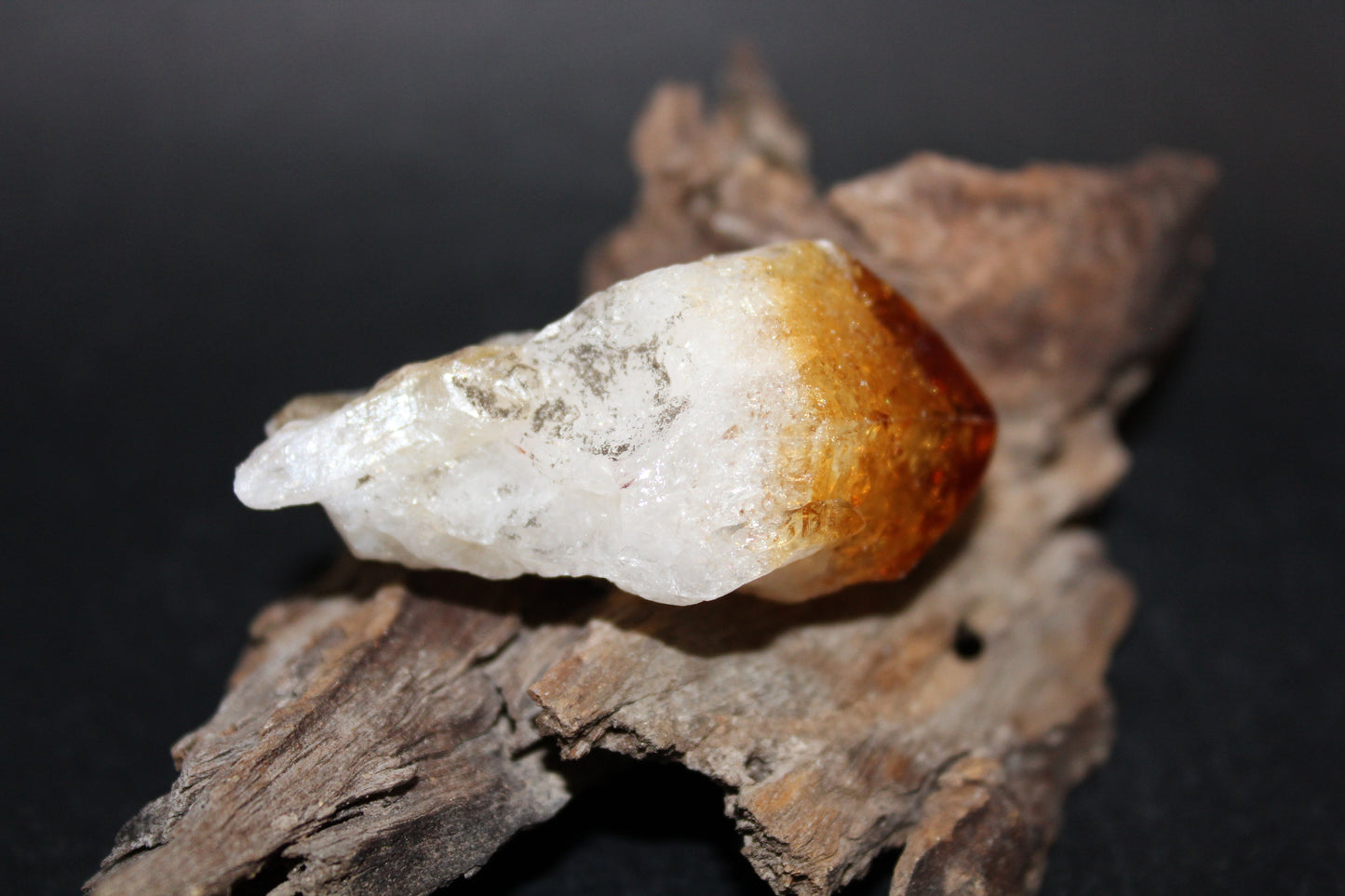 Point - Citrine (tooth) - lge