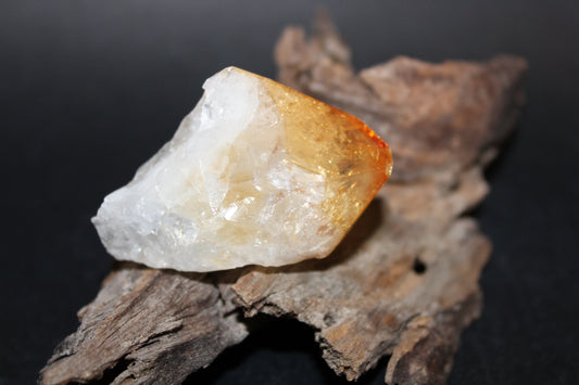 Point - Citrine (tooth) - lge