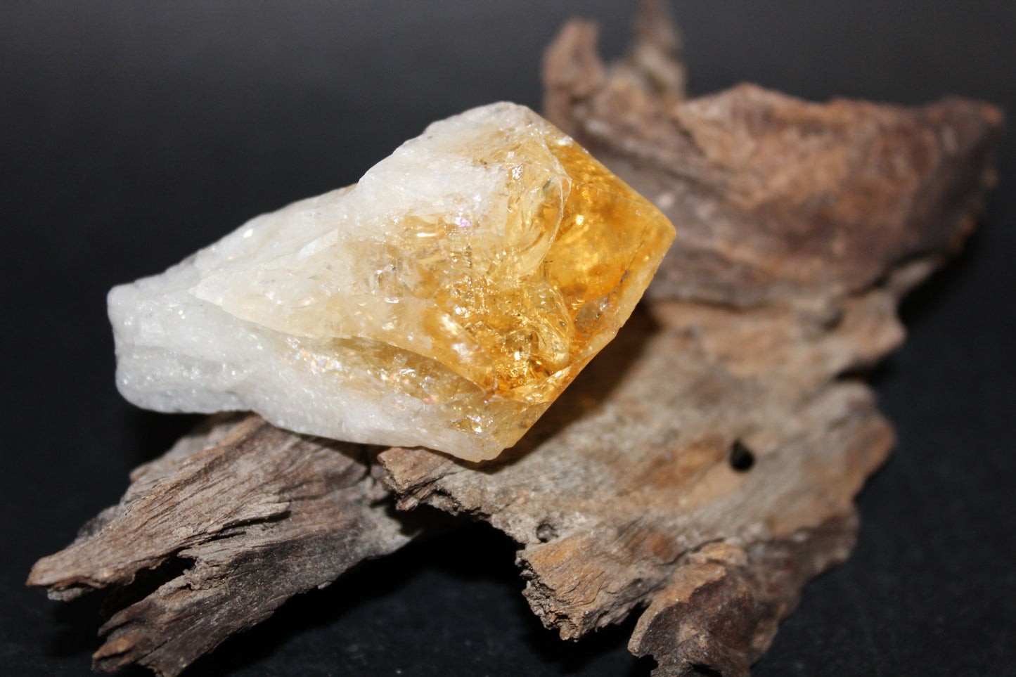 Point - Citrine (tooth) - lge