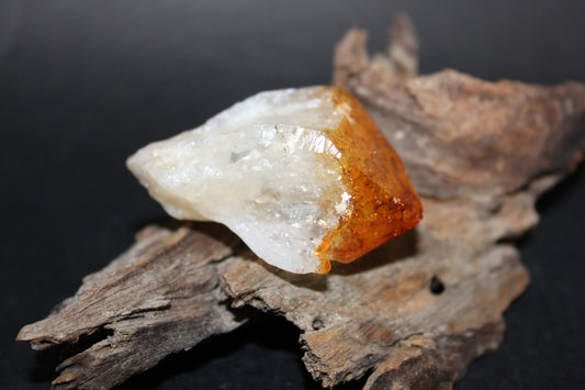 Point - Citrine (tooth) - lge