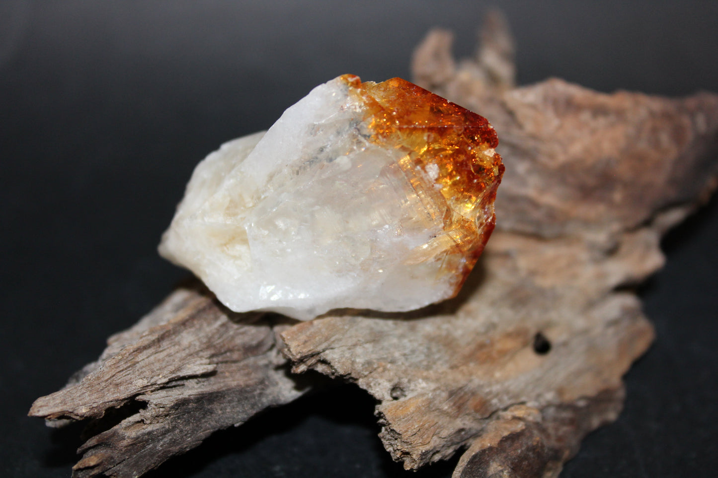 Point - Citrine (tooth) - lge