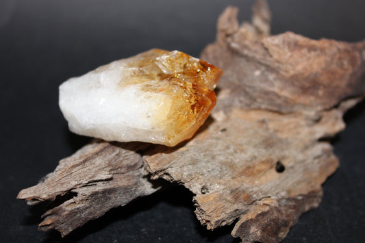 Point - Citrine (tooth) - lge