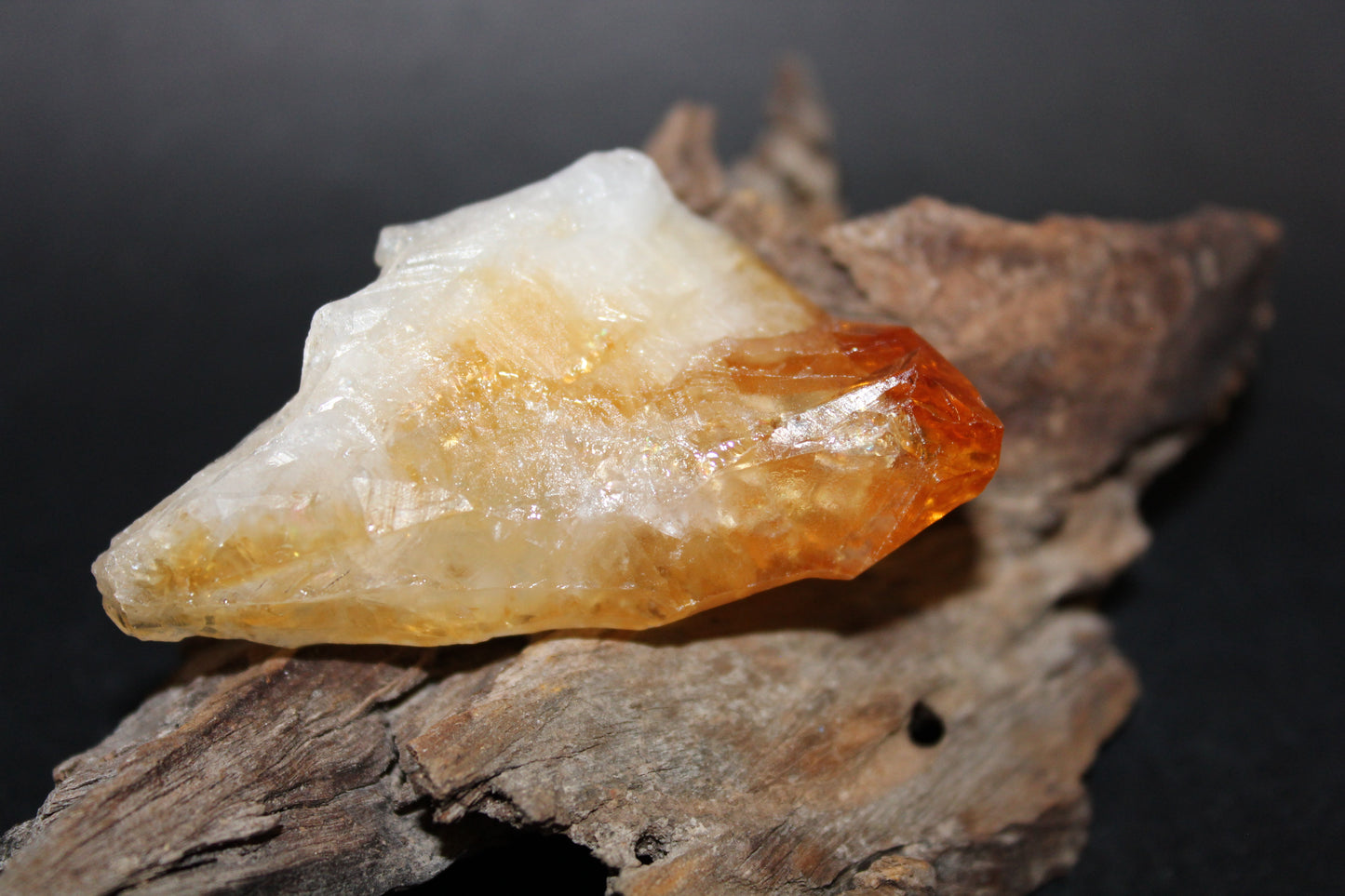 Point - Citrine (tooth) - lge
