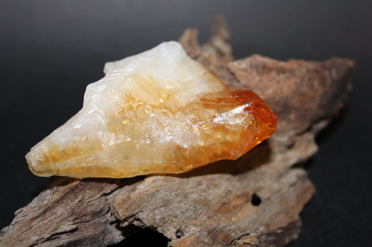 Point - Citrine (tooth) - lge