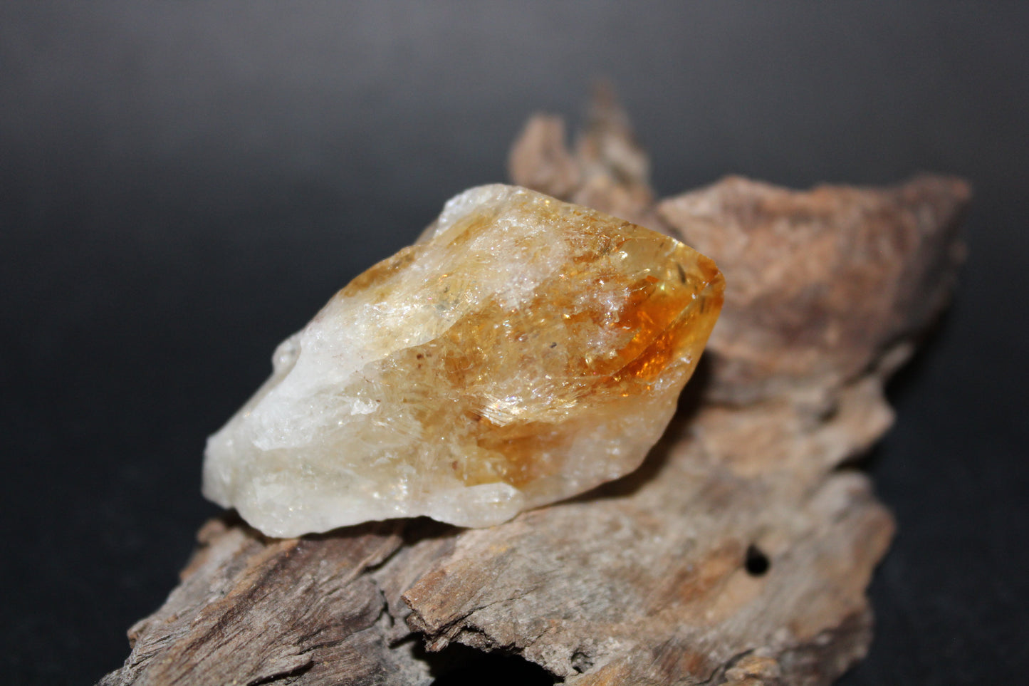 Point - Citrine (tooth) - lge