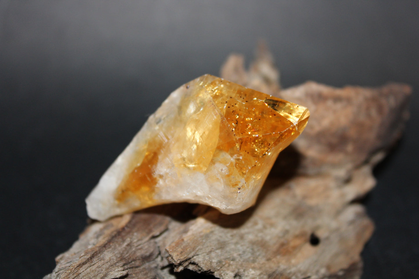 Point - Citrine (tooth) - lge