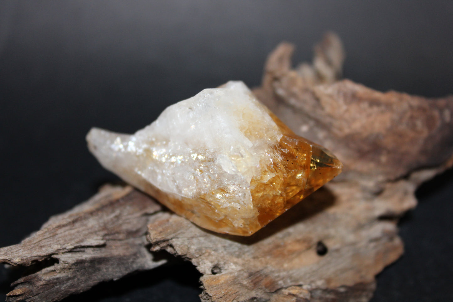 Point - Citrine (tooth) - lge