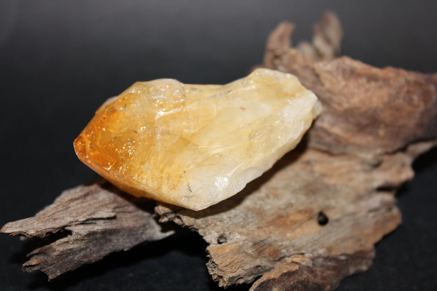 Point - Citrine (tooth) - lge
