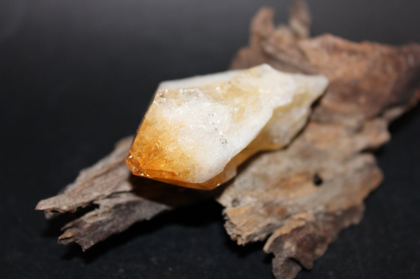 Point - Citrine (tooth) - lge