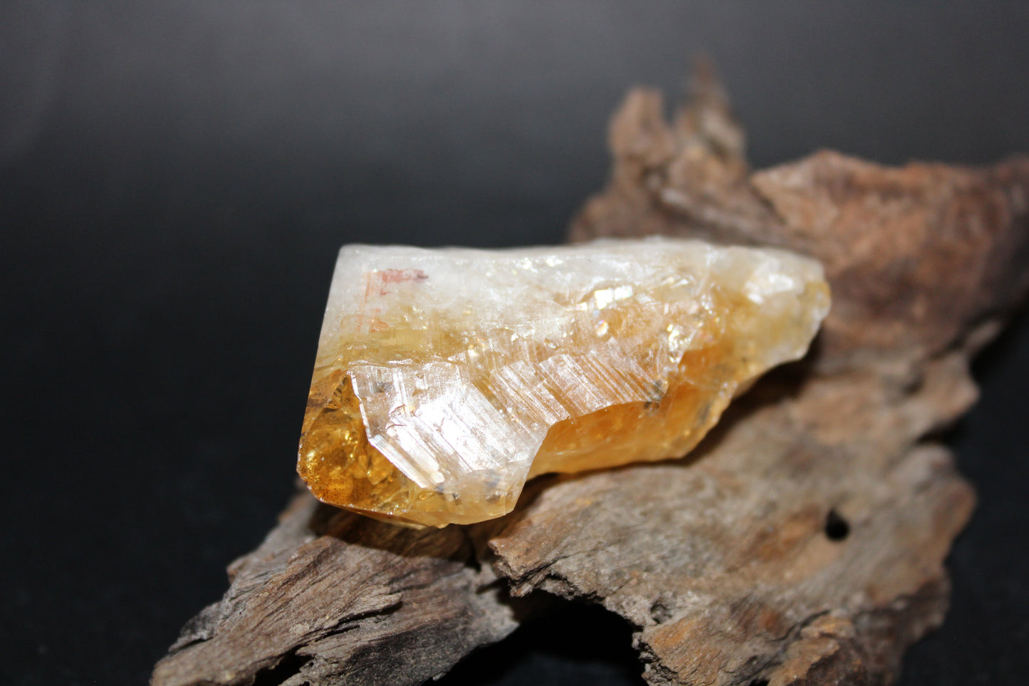 Point - Citrine (tooth) - lge