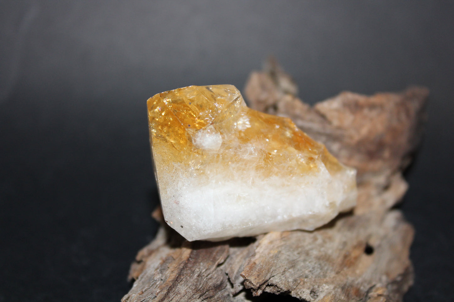 Point - Citrine (tooth) - lge