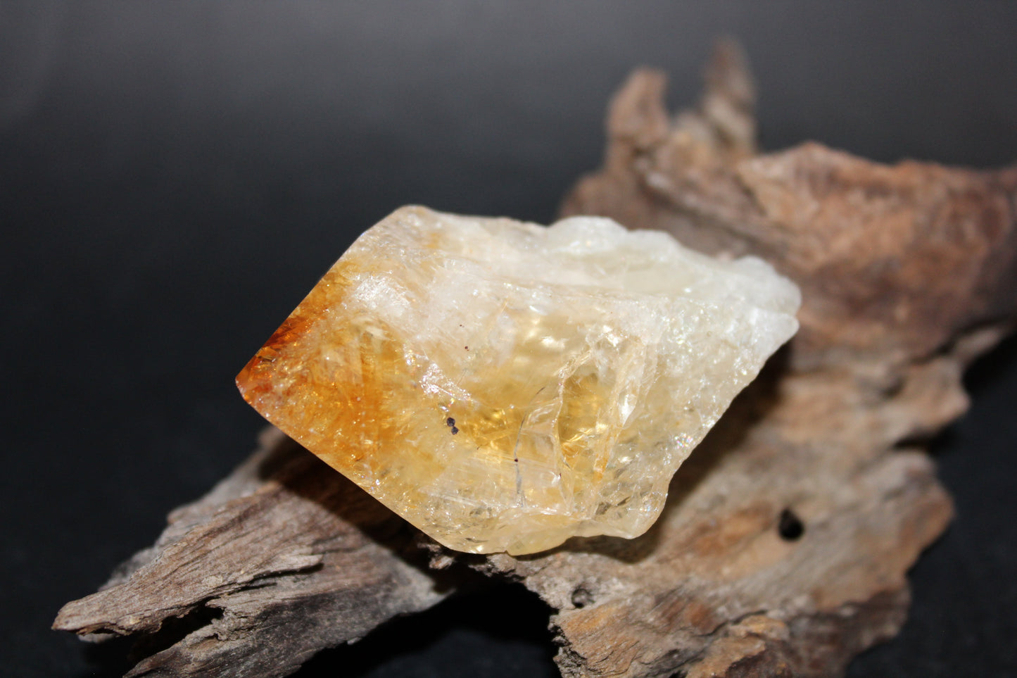 Point - Citrine (tooth) - lge