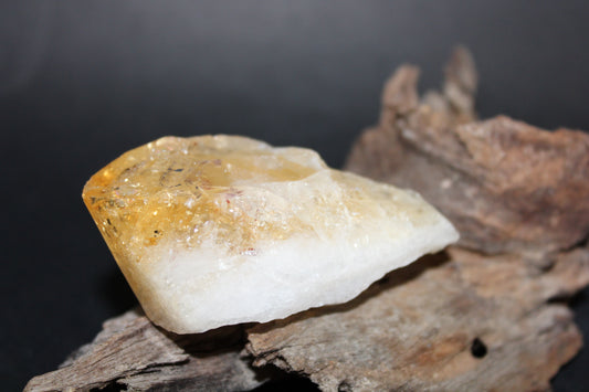 Point - Citrine (tooth) - lge