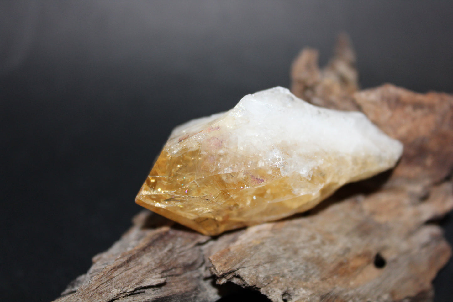 Point - Citrine (tooth) - lge