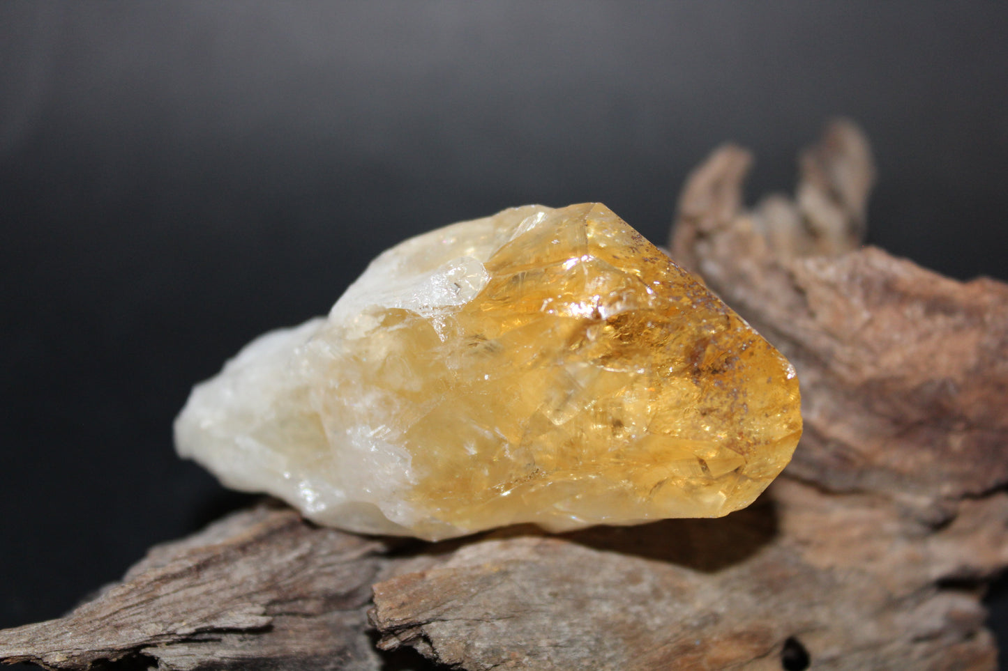 Point - Citrine (tooth) - lge