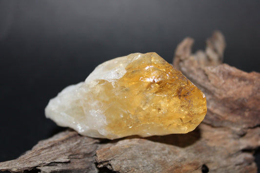Point - Citrine (tooth) - lge
