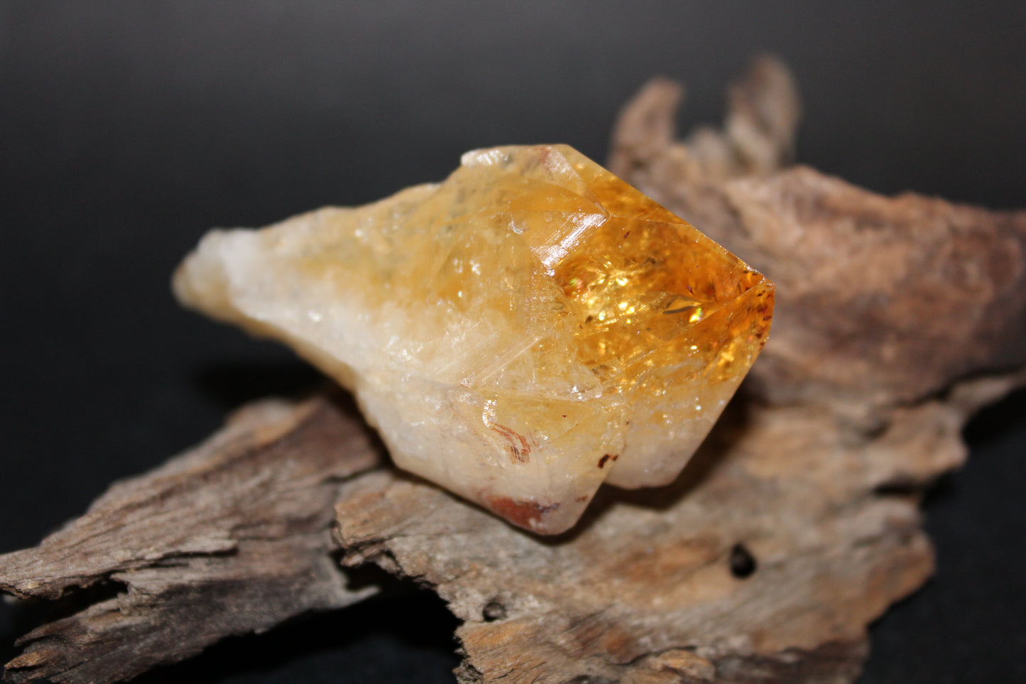 Point - Citrine (tooth) - lge