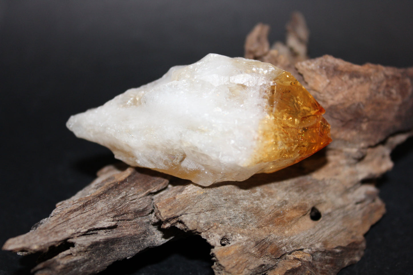 Point - Citrine (tooth) - lge