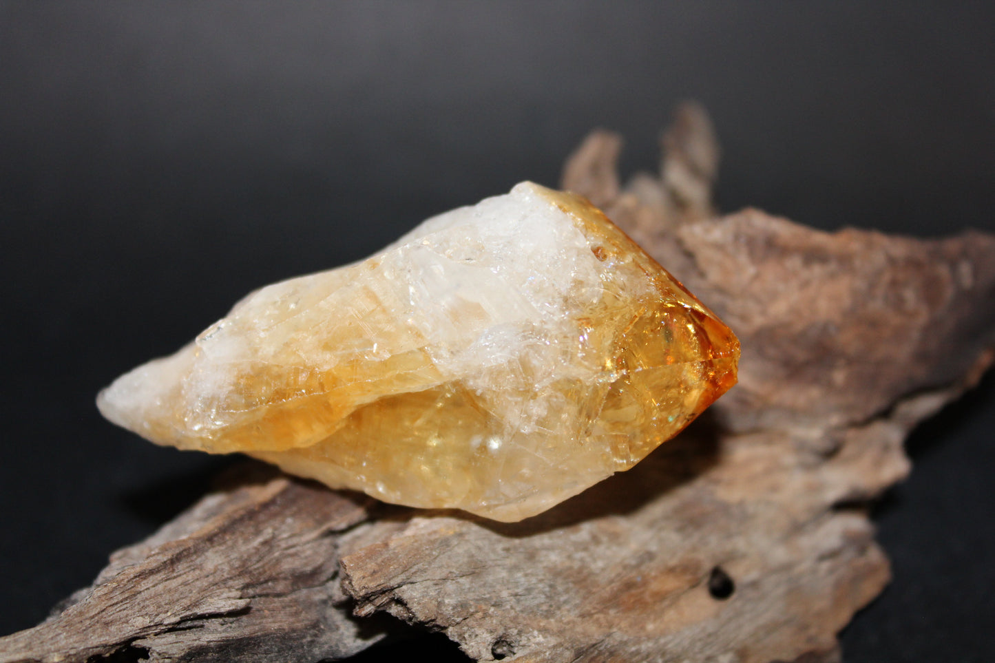 Point - Citrine (tooth) - lge