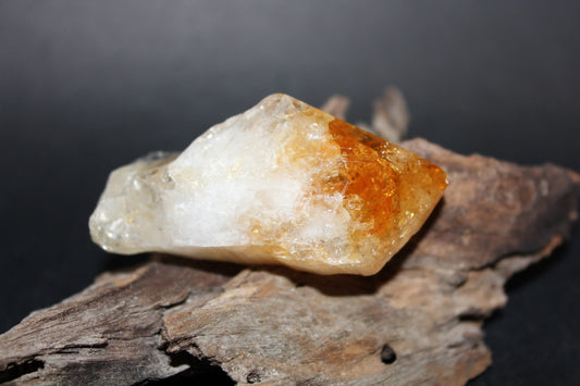 Point - Citrine (tooth) - lge