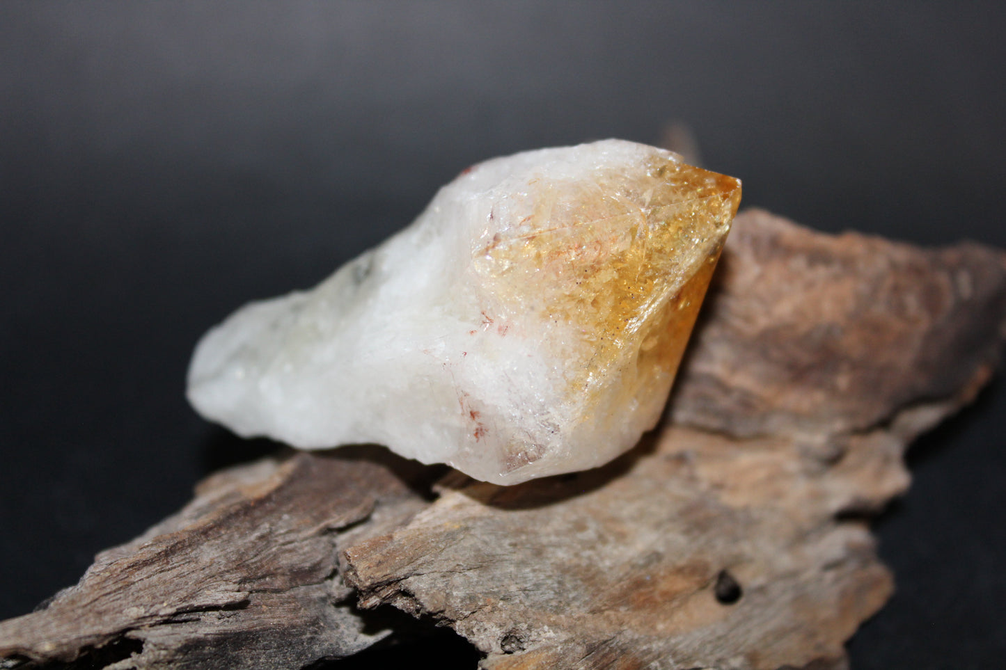 Point - Citrine (tooth) - lge