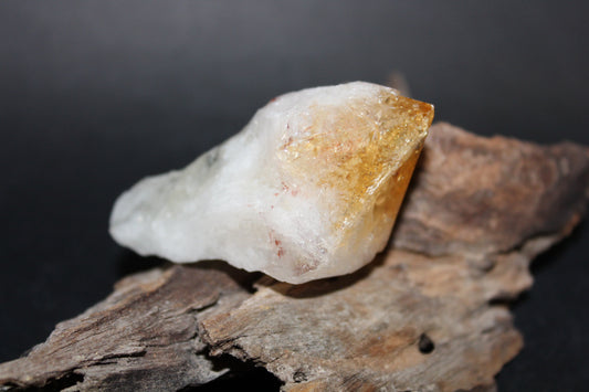 Point - Citrine (tooth) - lge