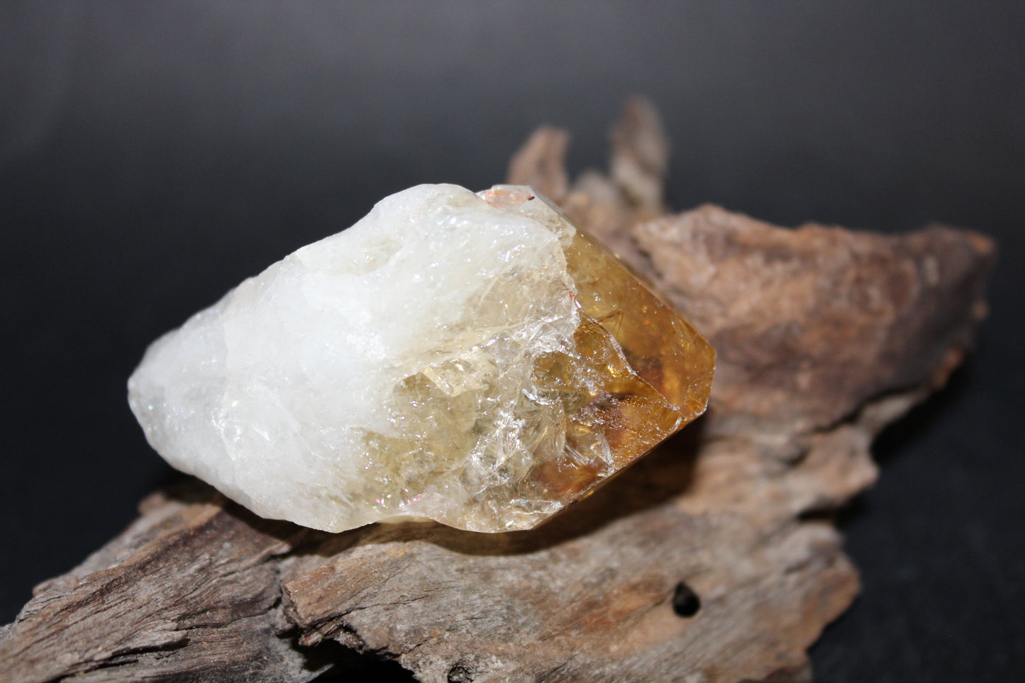 Point - Citrine (tooth) - lge
