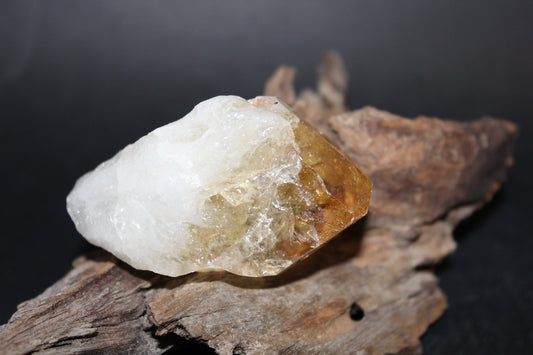 Point - Citrine (tooth) - lge