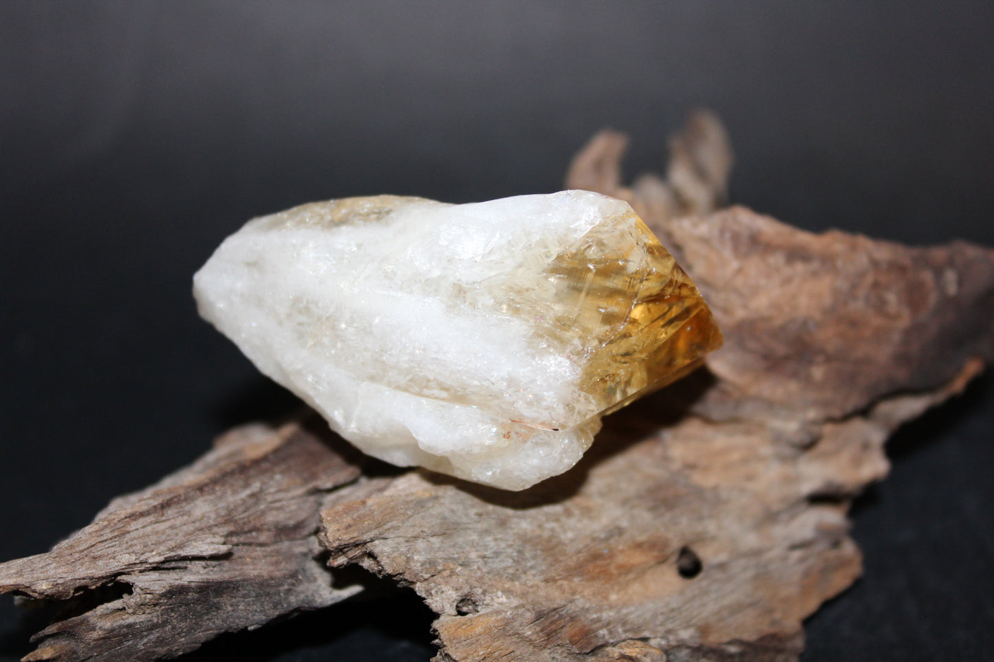 Point - Citrine (tooth) - lge