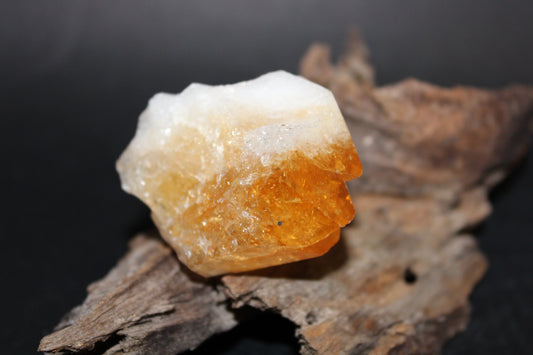 Point - Citrine (tooth) - lge