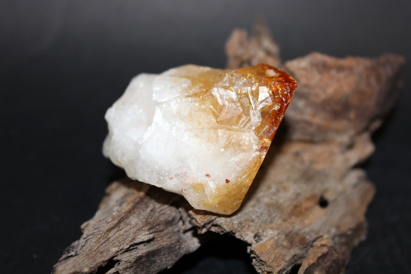 Point - Citrine (tooth) - lge